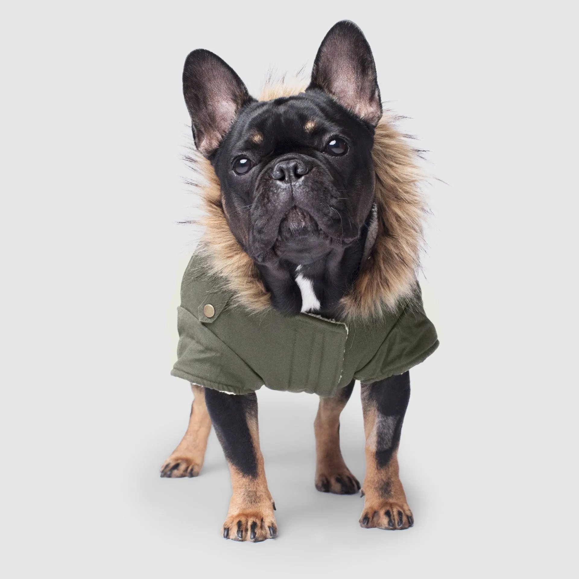 Alaskan Army Parka