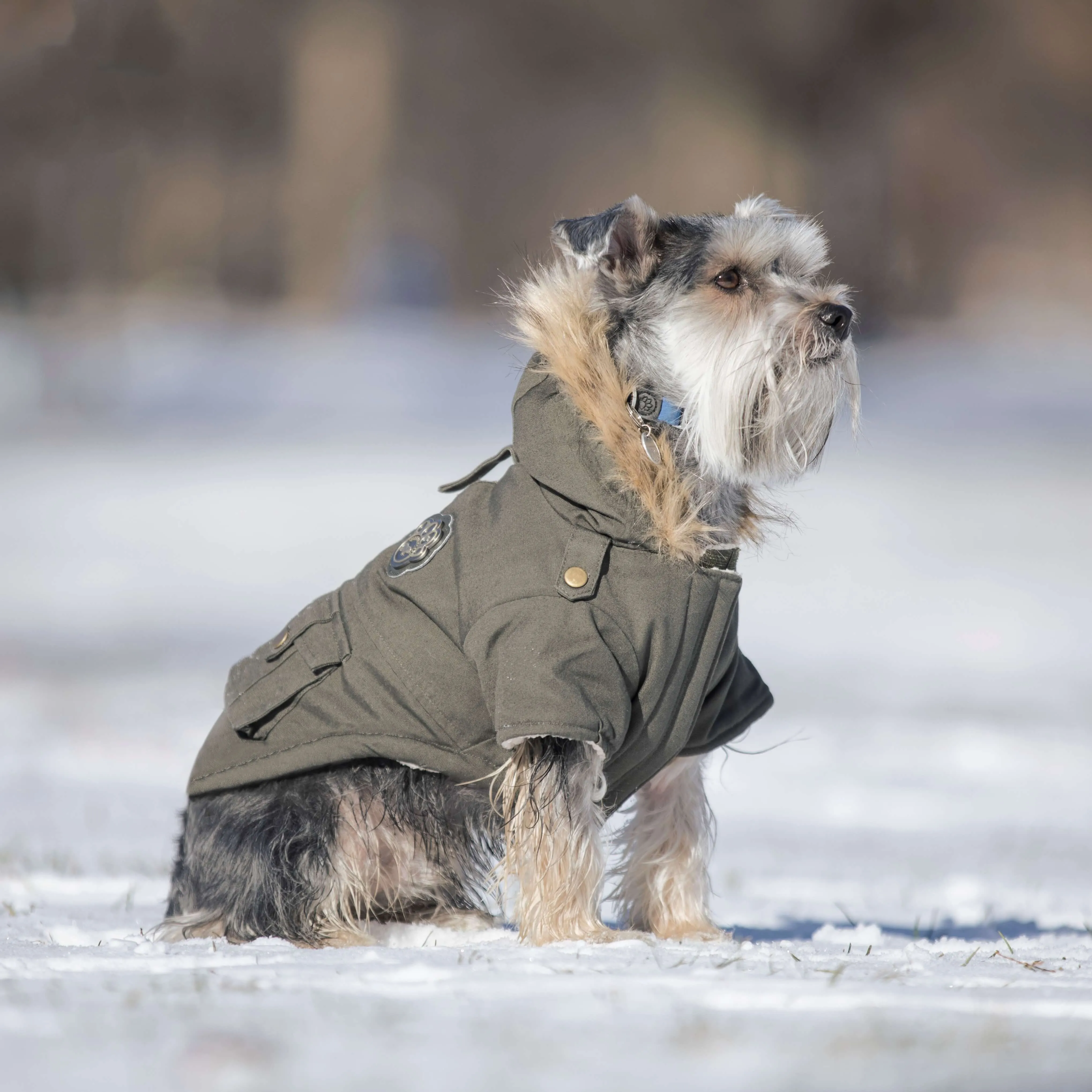 Alaskan Army Parka