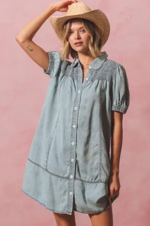 CAMRYN DENIM DRESS