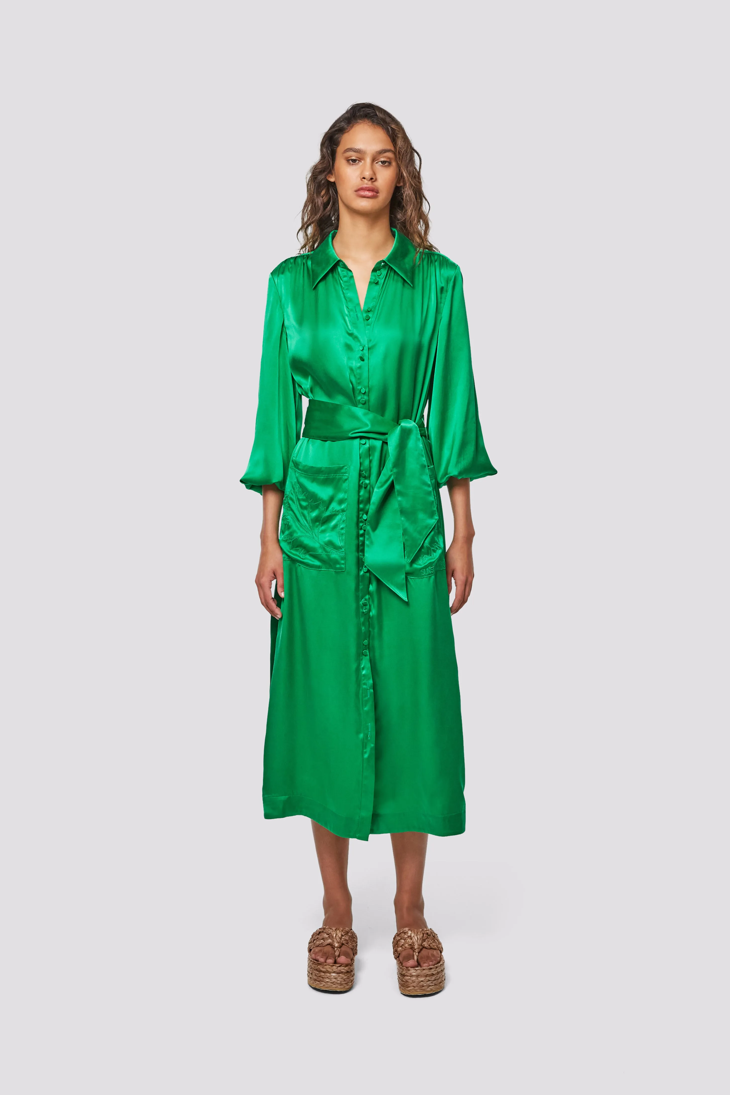 Elbaz Shirt Dress - Green Tambourine