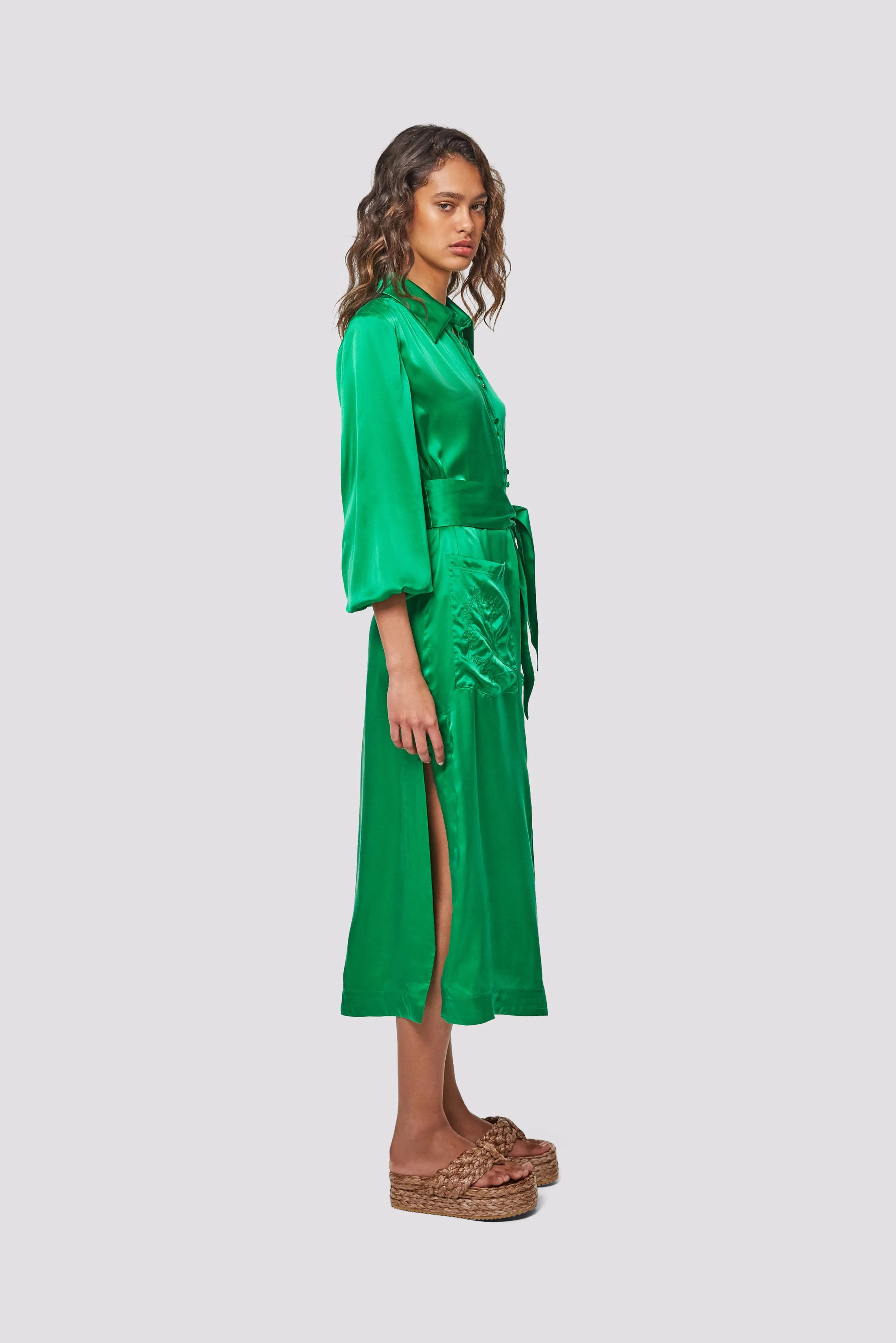 Elbaz Shirt Dress - Green Tambourine