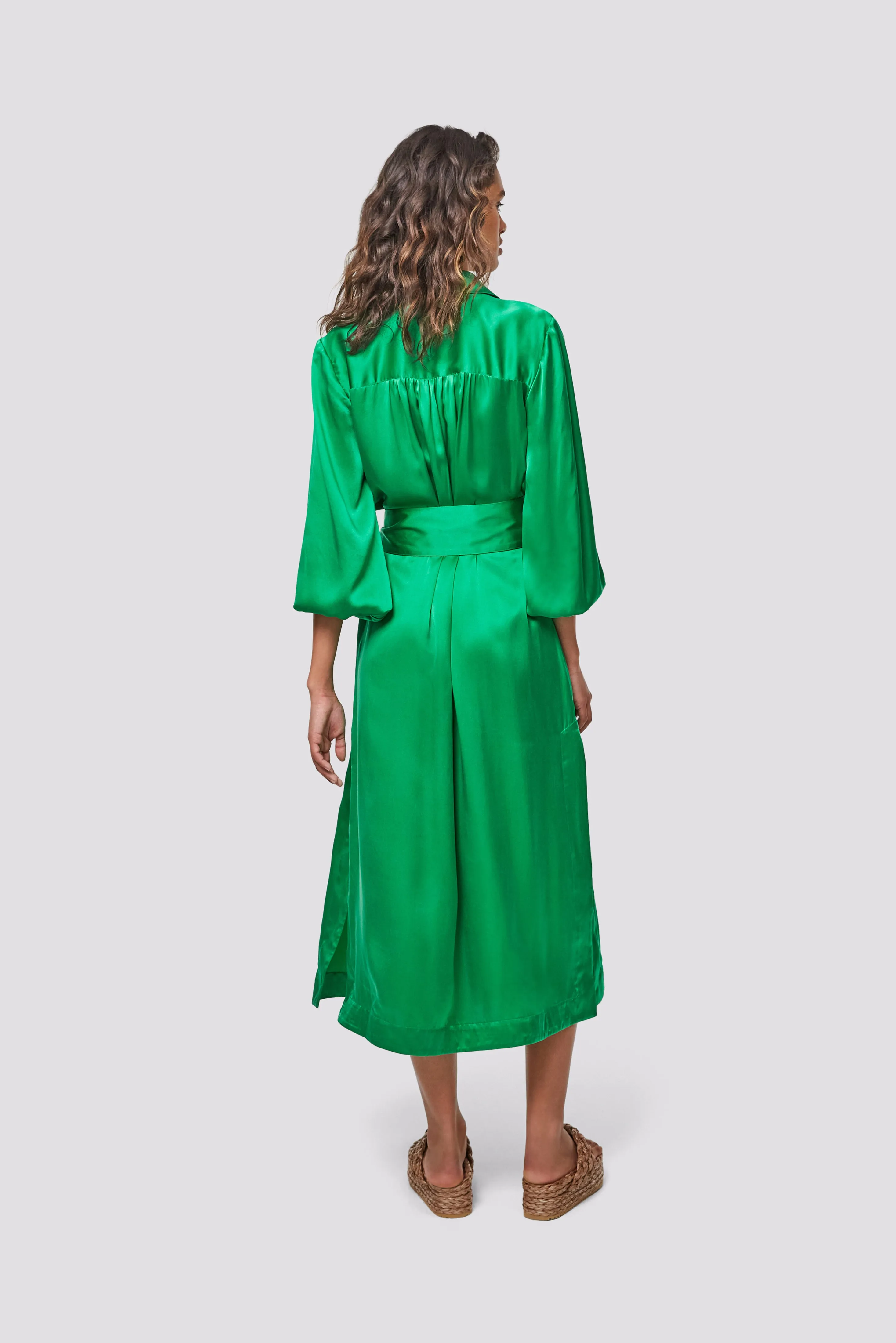 Elbaz Shirt Dress - Green Tambourine