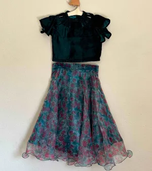 Elegant Organza Skirt with Velvet Crop Top | 5-6 Yrs