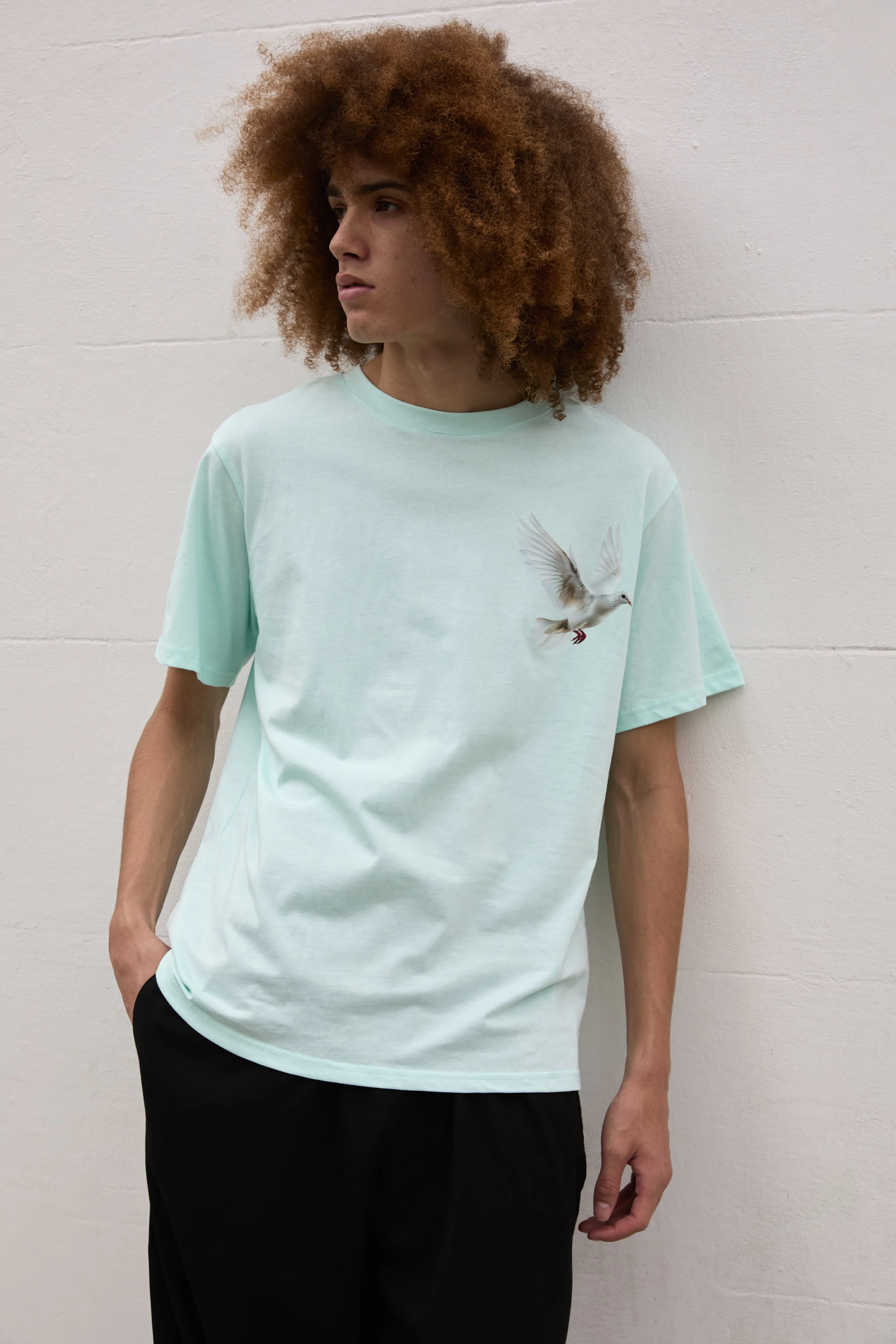 Flying Dove Print Unisex T-Shirt in Light Mint Green