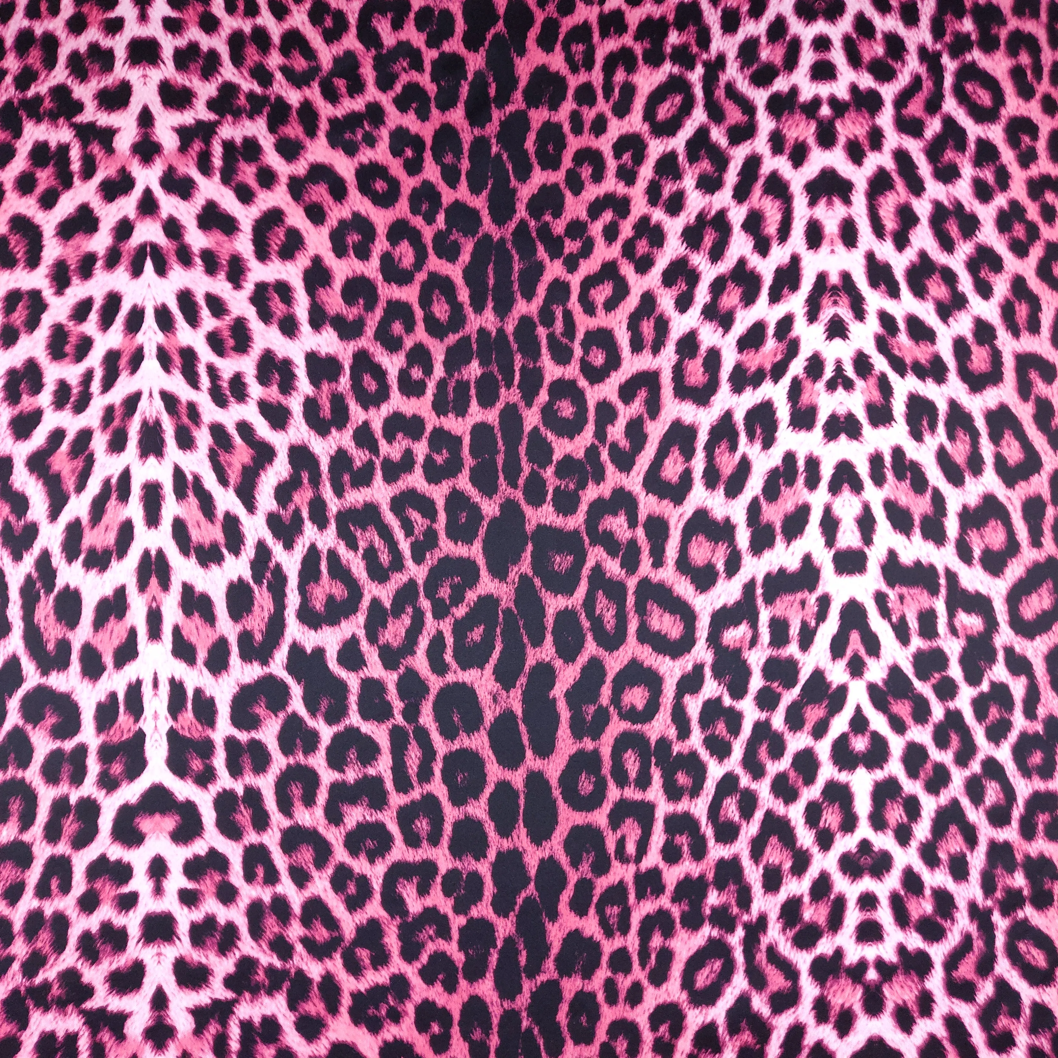 FS005_3 Pink Leopard