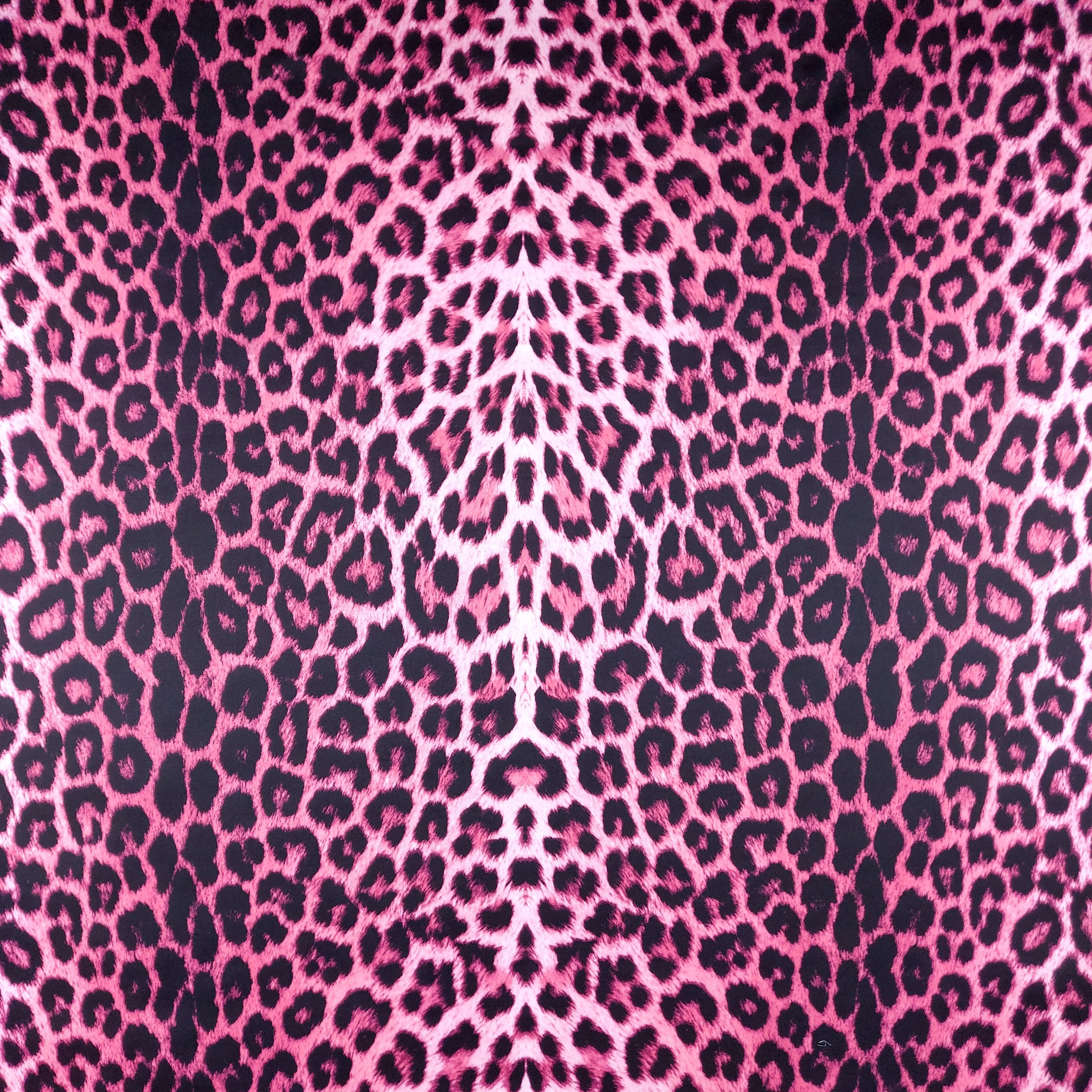 FS005_3 Pink Leopard