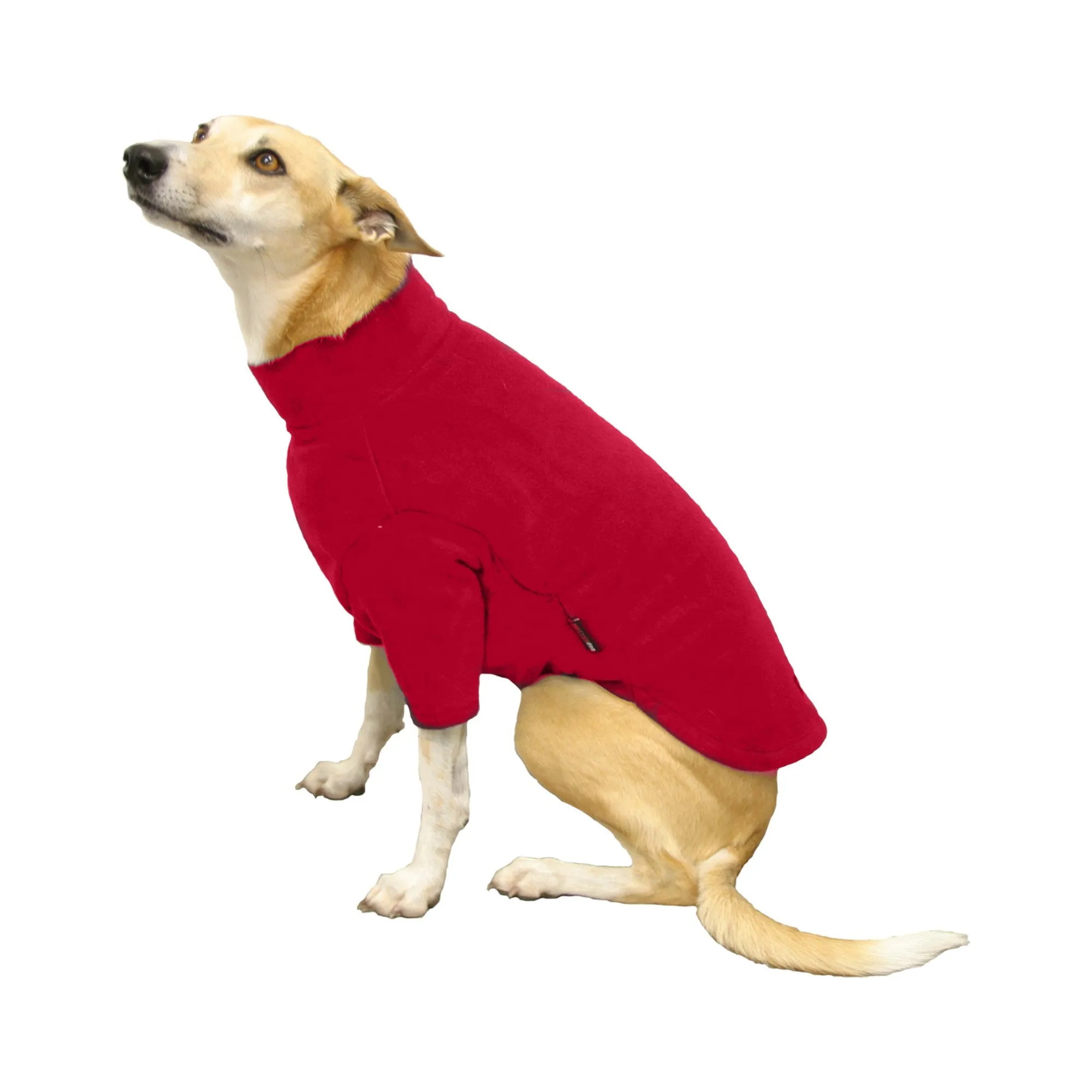 Hotterdog Dog Jumper Red