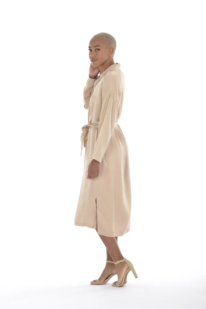 RAYNE SHIRT DRESS