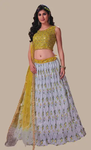 Soft Grey Embroidered Choli Set